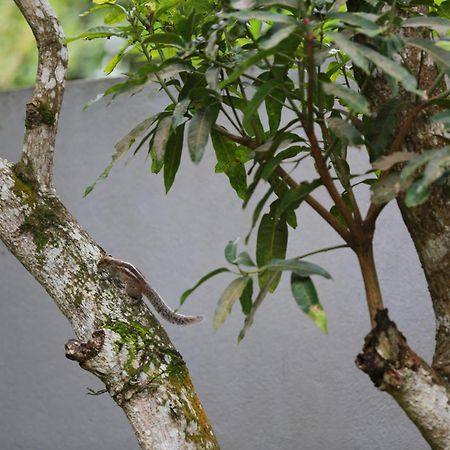 Thambara Villa Unawatuna Luaran gambar